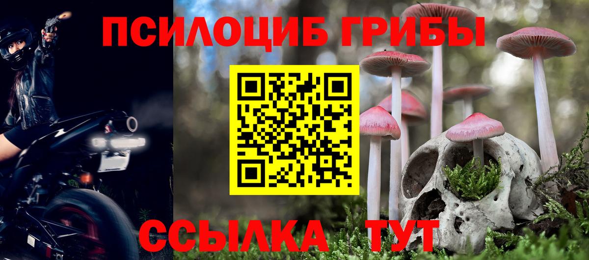 Псилоцибиновые грибы Psilocybine cubensis  Галлюциногенные грибы ЛСД  Вход с VPN  Барабинск 