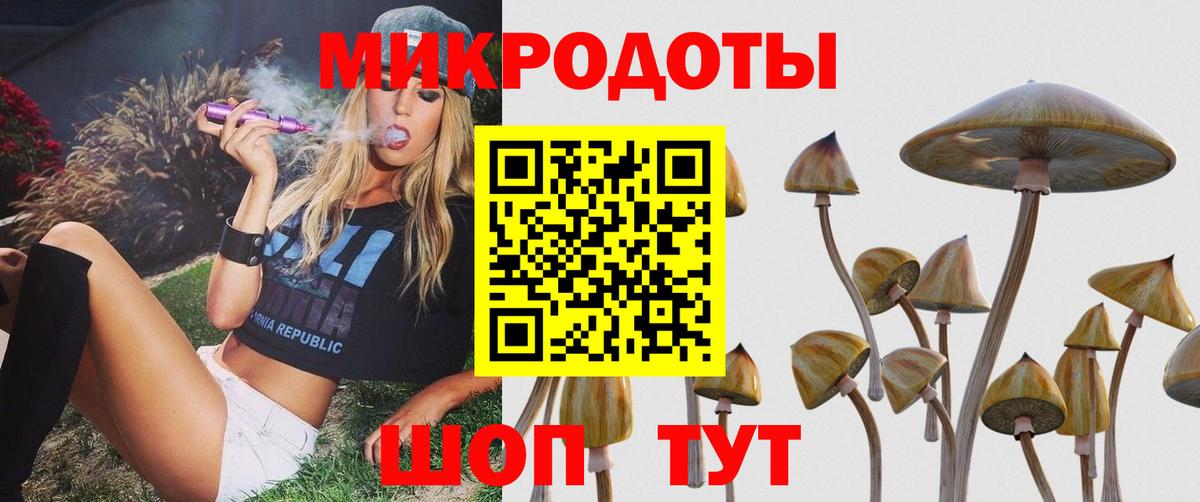 Галлюциногенные грибы Psilocybine cubensis Барабинск